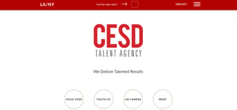 CESD Talent Agency