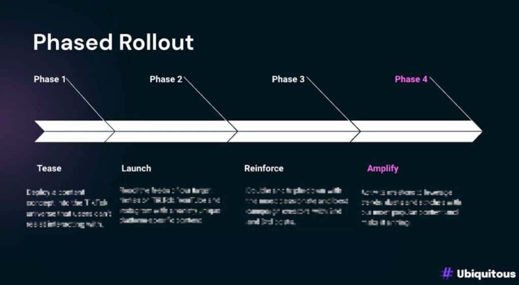 Ubiquitous Case Study Litter Robot Phases