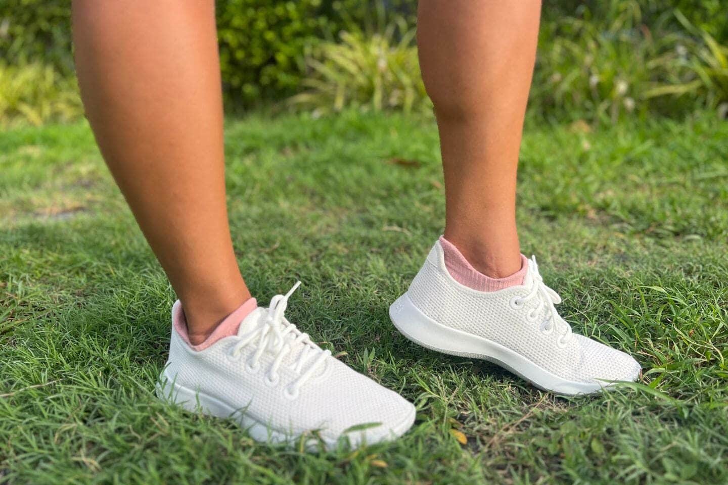 Kaikoura White Allbirds Tree Runners shoes