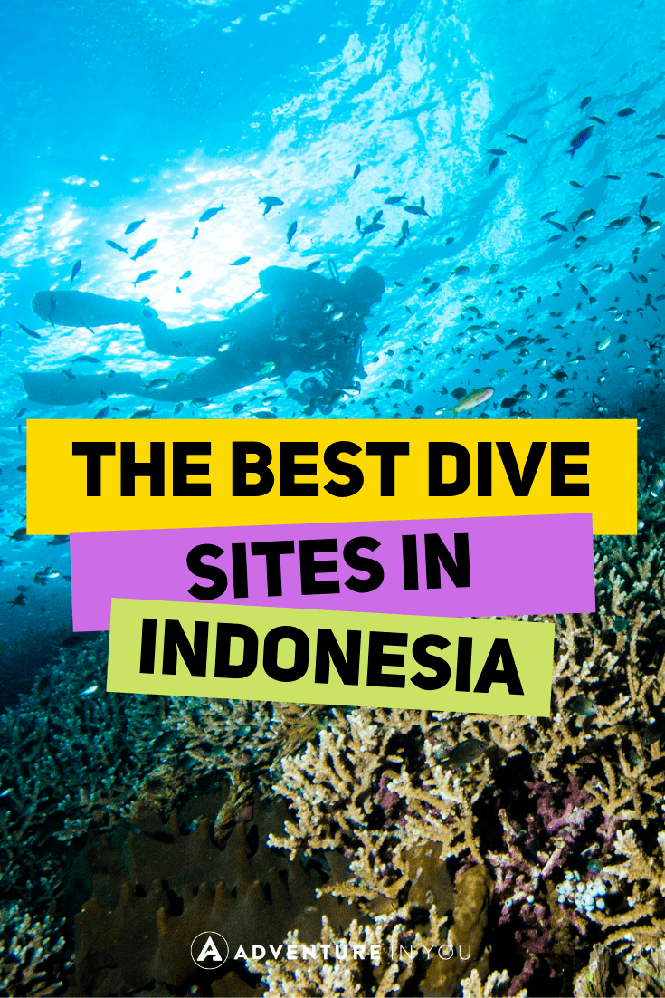 Diving in Indonesia | Looking for the best dive sites in Indonesia? Here are our top picks for diving in Bali, GIli Islands, Komodo, and more. #indonesia #scubadiving